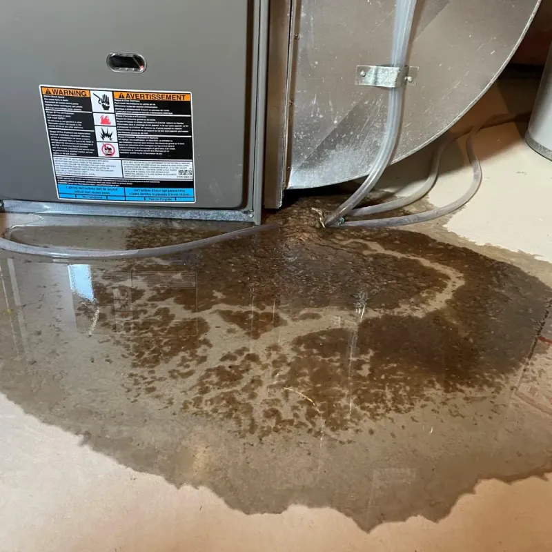 Appliance Leak Cleanup in Moorhead, MN